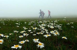 Aylar sonra ciğerlerini temiz havayla doldurdular