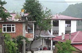 Babasının diktiği armut ağacını kesmeye kıyamadı,...