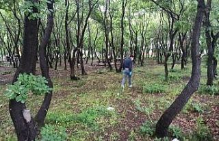 Bafra’da bir kişi tüfekle vuruldu