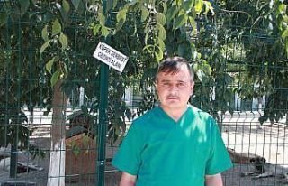 Bahçe ve balkonlarda uzun süre ağzı açık bırakılan...