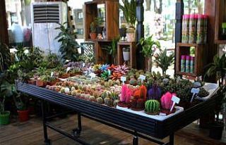 Bahçem satış merkezinin açılışı yapılıyor