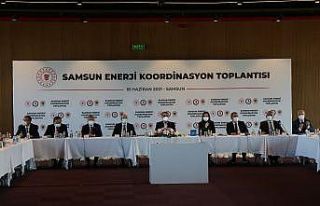 Bakan Dönmez, enerji yatırımları hakkında bilgi...