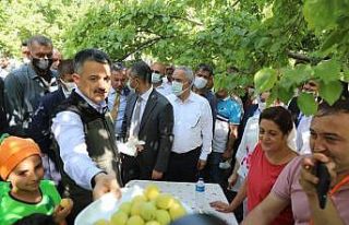 Bakan Pakdemirli, Iğdır’da kayısı hasadına...