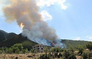 Bakan Pakdemirli’den Denizli’deki orman yangınıyla...