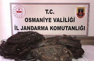 Bakır kablo hırsızları suçüstü yakalandı