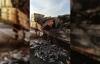 Balık yüklü tırda yangın