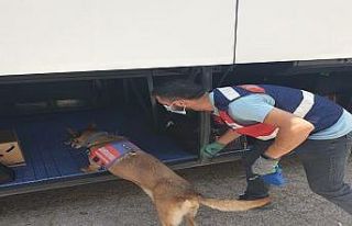Balıkesir’de polis son bir haftada 81 uyuşturucu...