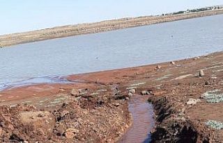 Balıklar için kuyudan gölete kanal açtılar