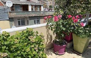 Balkonunu çiçek bahçesine çeviren kanser hastası,...