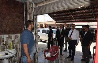Barış Pınarı Bölgesi’nde hayat normale döndü
