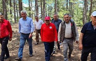 Başkan Büyükkılıç: "Kayserimizin her köşesi...