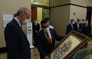 Başkan Çalkın, Cumhurbaşkanı Erdoğan ile görüştü