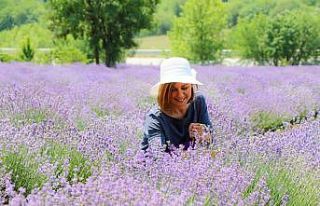Başkan Elif Köse yılın ilk lavanta hasadına katıldı