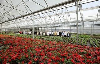 Başkan Fadıloğlu, ANESİAD üyelerini bilgilendirdi