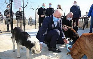 Başkan Gültak’tan sokak hayvanları için destek...