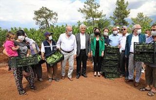 Başkan Gürün, üreticinin yüzünü güldürdü