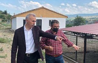 Başkan Öztürk’ten yeni hayvan barınağında...