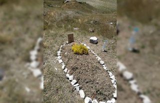 Başkent’te boş arazide bulunan yeni yapılmış...