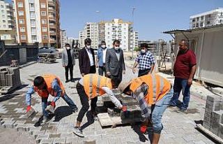 Baydilli çalışmaları yerinde inceledi