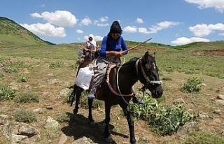 Berivanların at sırtında geçen ömürleri