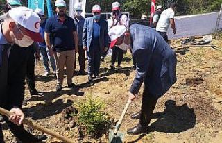 Beykoz’da bebeklere özel ’Hoş geldin bebek ormanı’...
