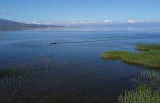 Beyşehir Gölü’nde 5 yılda kaçak balık avlayanlara...