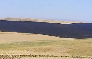 Biçerdöverden çıkan kıvılcım, 10 bin dönümlük...