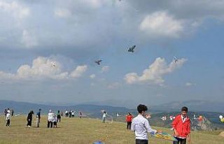 Bilecik’te uçurtma şenliği