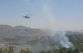Bingöl Valiliği: "Yangın kontrol altına alındı”