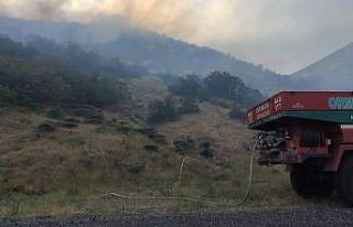 Bingöl’de iki köyde çıkan orman yangını büyümeden...
