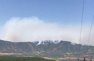 Bingöl’de iki noktadaki orman yangınına müdahale...