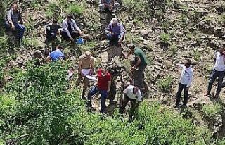 Bingöl’de insan kemikleri bulundu