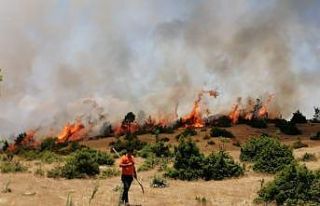 Bingöl’de orman yangını büyümeden söndürüldü
