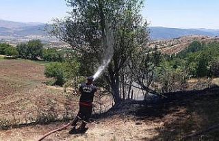 Bingöl’de örtü yangınları söndürüldü