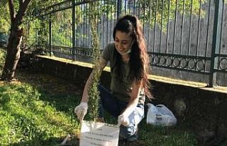 Bir fidan bin nefes projesiyle fidanlar toprakla buluştu