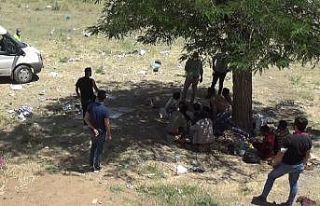 Bitlis’te 70 düzensiz göçmen yakalandı