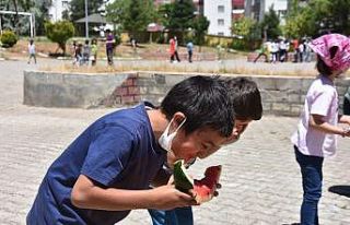 Bitlis’teki bütün okullarda telafi eğitimi verilmeye...