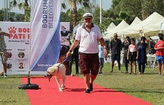 Bodrum can dostları için festival düzenledi: ‘Pati...