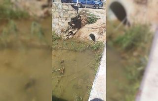 Bodrum’da kuruyan dereden akan su merak konusu oldu