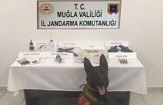 Bodrum’da uyuşturucu ve silah ele geçirildi