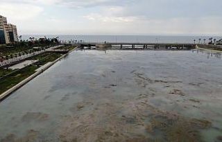 Boğaçayı’nda kirlilik açıklaması