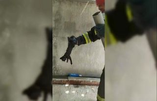 Boruya sıkışan yavru kediyi itfaiye kurtardı