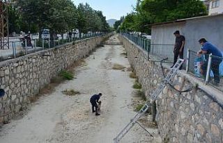 Boş sulama kanalına düşen köpek itfaiye tarafından...