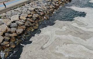 Bostancı Sahili’nde deniz salyası yoğunluğu...