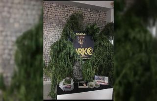 Bozdoğan’da uyuşturucu operasyonu