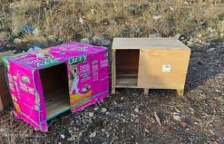 Bozuk para kasaları sokaktaki canlara yuva olmaya...