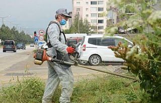 Bozüyük yaza yemyeşil girecek
