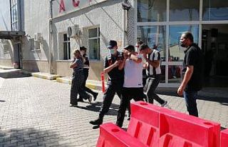 Bu pireler hayvanları komple alıp götürüyor