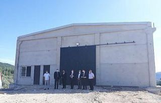 Bu proje ile Muğla’da arı ürünlerinin değeri...