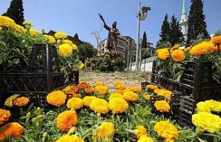 Buca’nın sokakları rengarenk